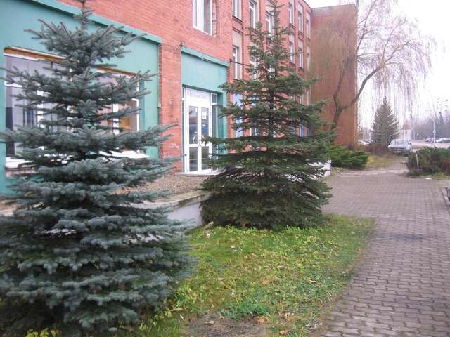 Мотели Motel Laurita Каунас-10